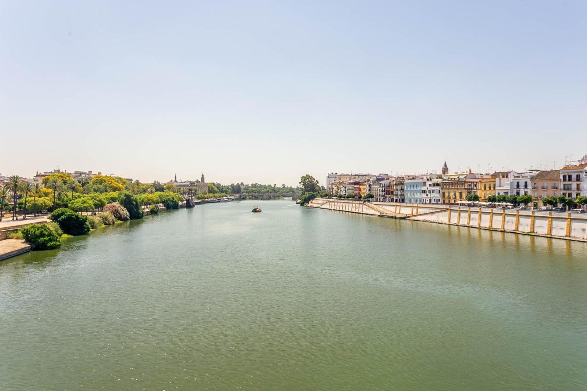Sunterrace Loft-Triana'S Star, 10' From City Center! إشبيلية المظهر الخارجي الصورة